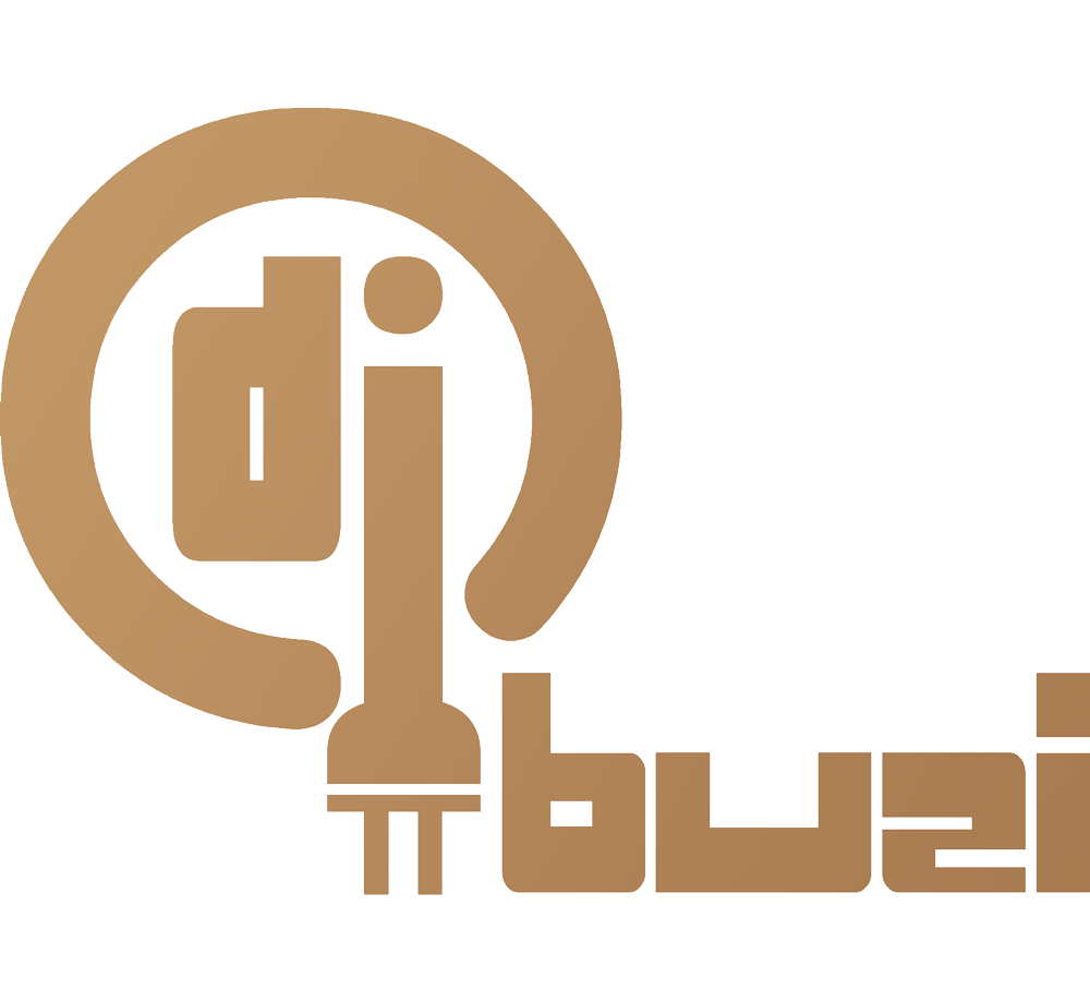 Dj Buzi: Dj na wesele Miechów, Wieliczka, Kraków